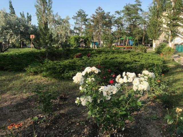 База Отдыха Наука Коблево Коблеве Екстер'єр фото